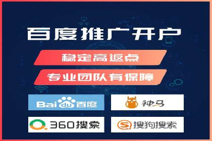 SEM服务公司成功案例解读